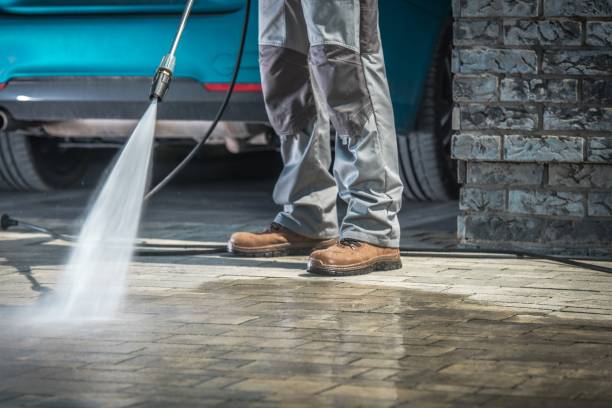 Best Warehouse Cleaning  in Fabens, TX